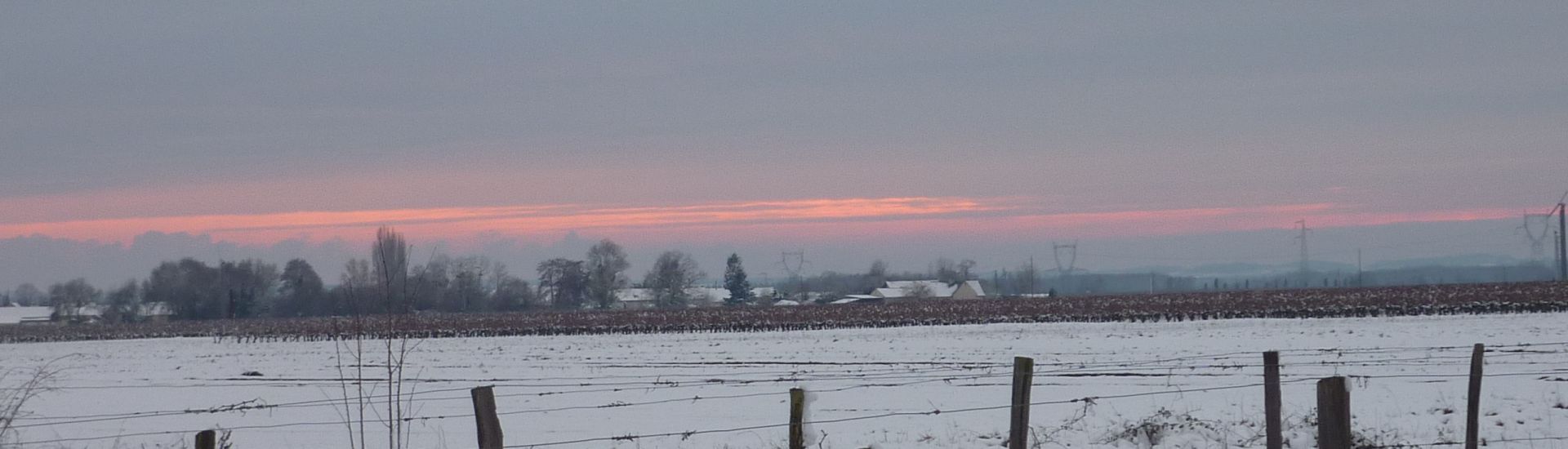 Vignes sous la neige coucher soleil